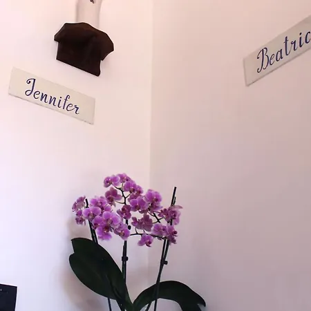 Casa Paloma 阿杰罗拉